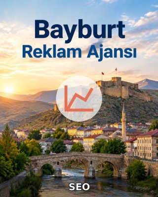 Bayburt SEO Hizmeti