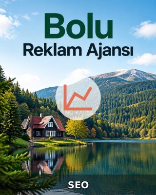 Bolu SEO Hizmeti