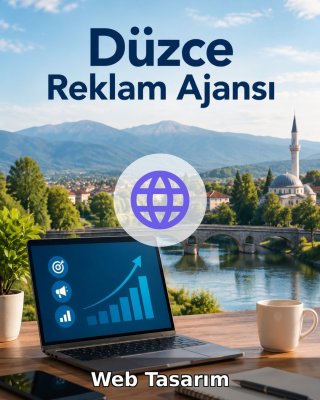 Düzce Web Tasarım