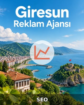 Giresun SEO Hizmeti