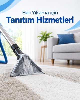 Halı Yıkama