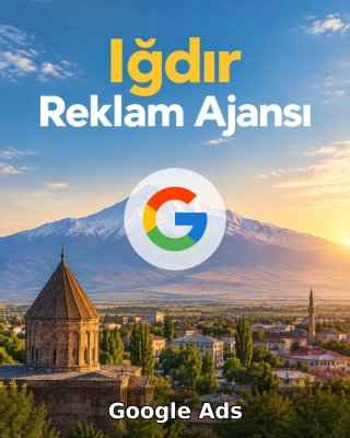 Iğdır Google Ads Ajansı