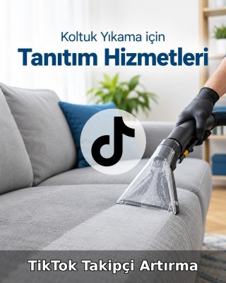 Koltuk Yıkama TikTok Takipçi Artırma