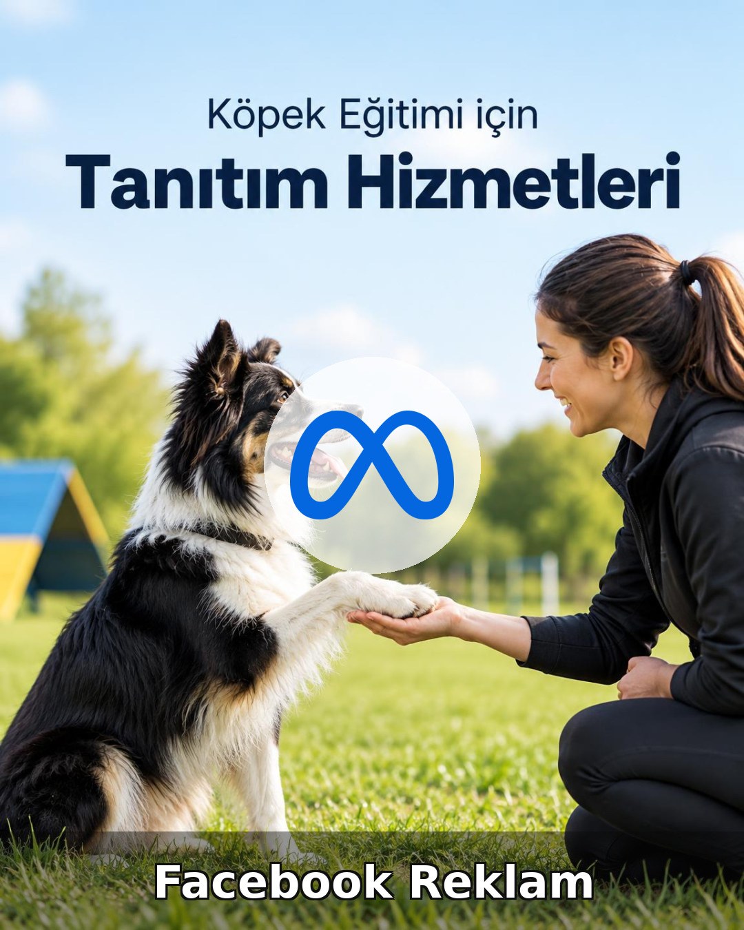 Köpek Eğitimi Facebook Reklam Yönetimi
