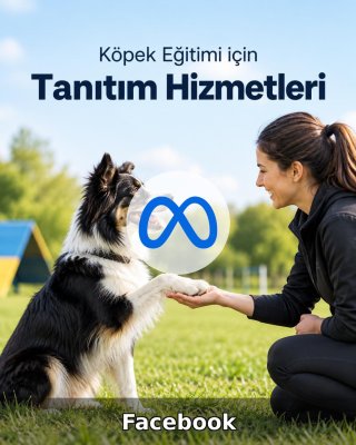 Köpek Eğitimi Facebook Yönetimi