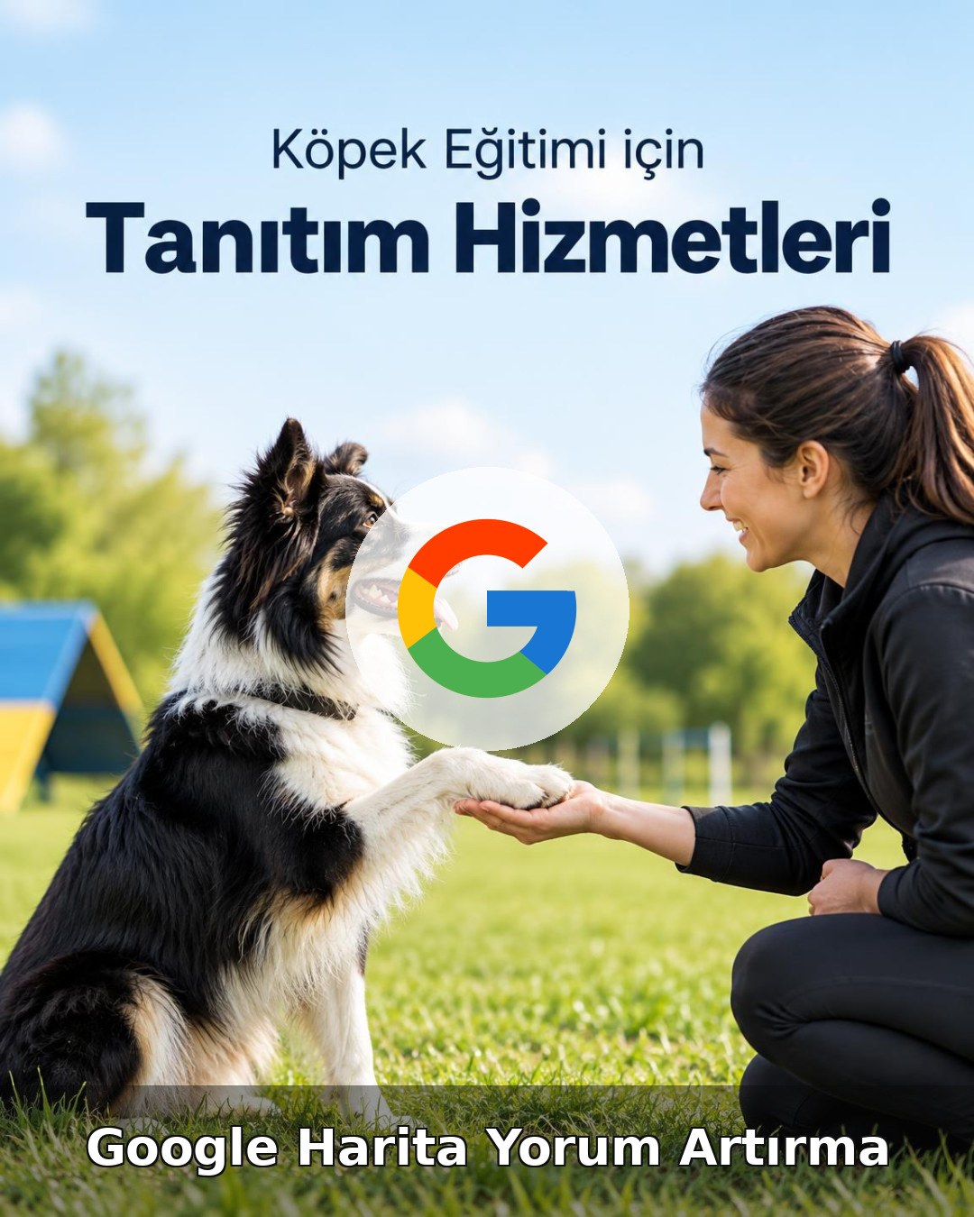 Köpek Eğitimi Google Harita Yorum Artırma