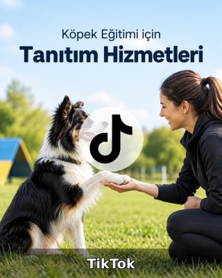 Köpek Eğitimi TikTok Yönetimi
