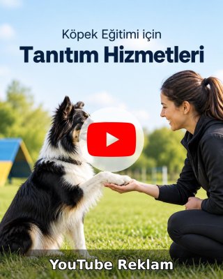Köpek Eğitimi YouTube Reklam Yönetimi
