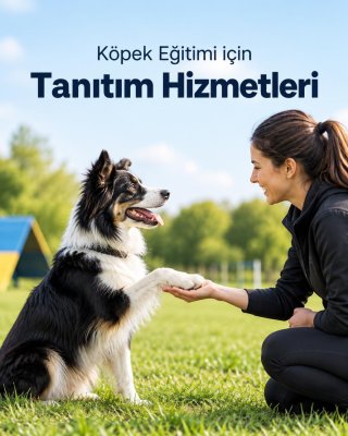 Köpek Eğitimi