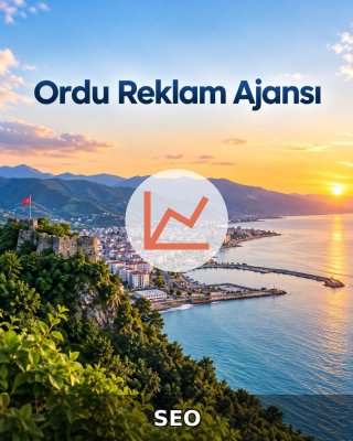 Ordu SEO Hizmeti