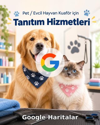 Pet / Evcil Hayvan Otel Google Harita Yönetimi