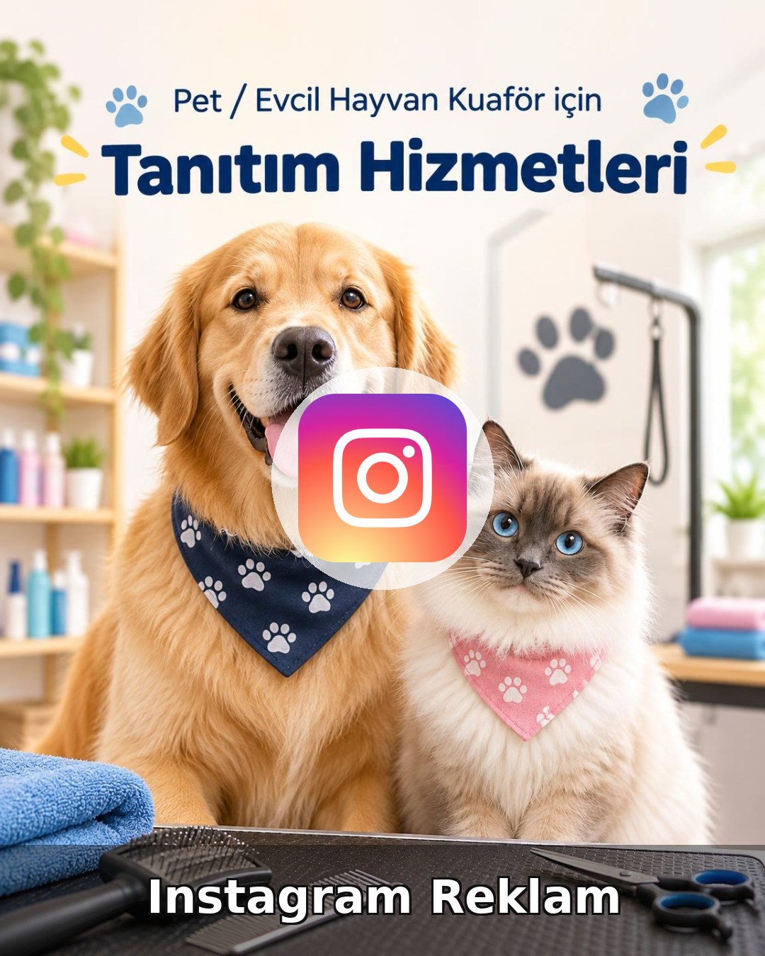 Pet / Evcil Hayvan Otel Instagram Reklam Yönetimi