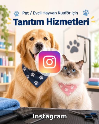 Pet / Evcil Hayvan Otel Instagram Yönetimi