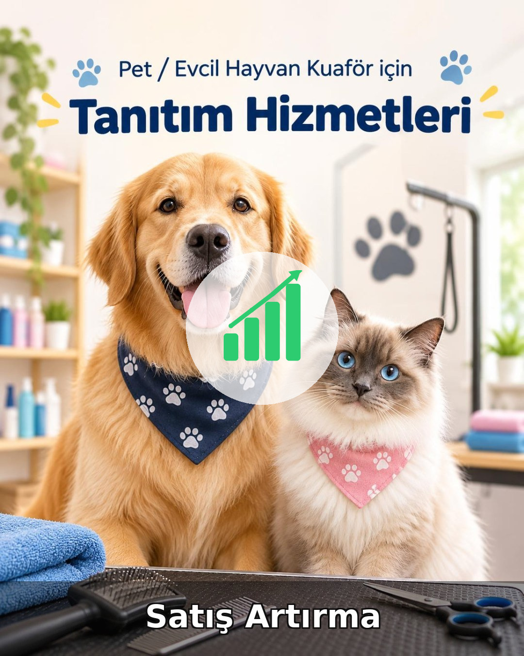 Pet / Evcil Hayvan Otel Satış Artırma