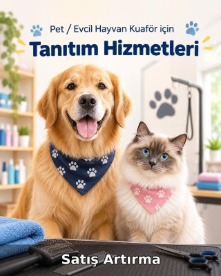 Pet / Evcil Hayvan Otel Satış Artırma