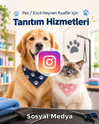 Pet / Evcil Hayvan Otel Sosyal Medya Yönetimi