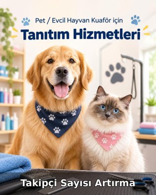 Pet / Evcil Hayvan Otel Takipçi Sayısı Artırma