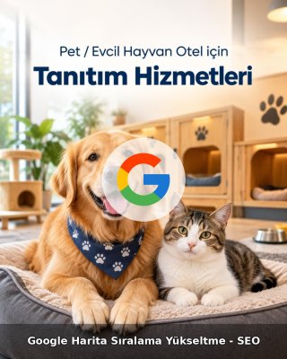 Pet / Evcil Hayvan Otel Google Harita Sıralama Yükseltme - SEO