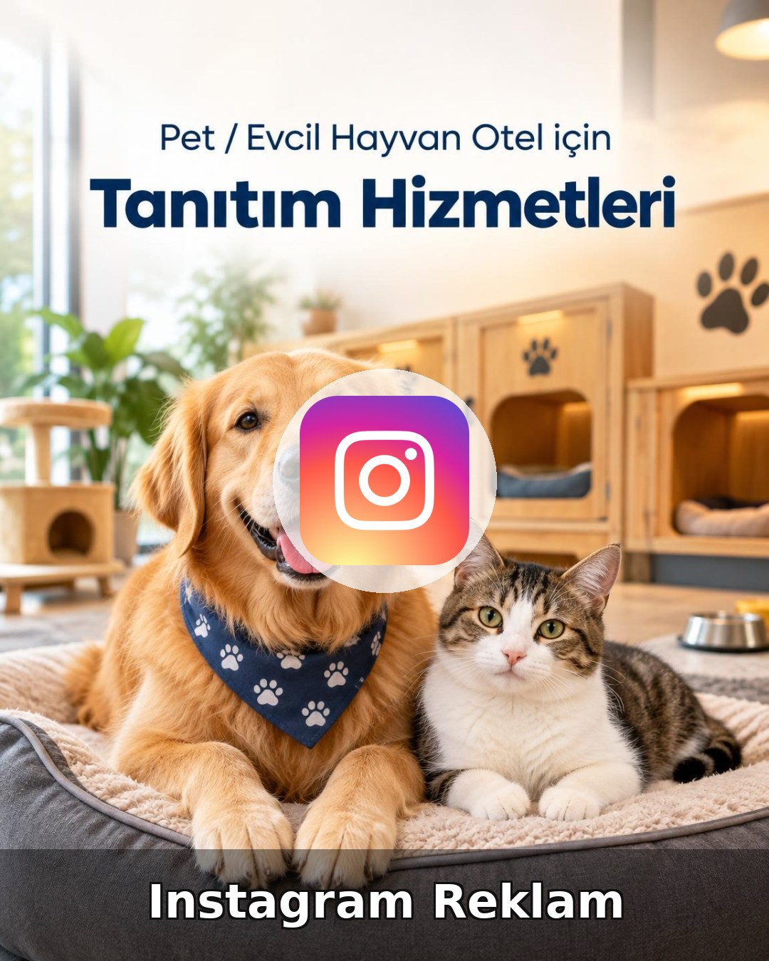 Pet / Evcil Hayvan Otel Instagram Reklam Yönetimi