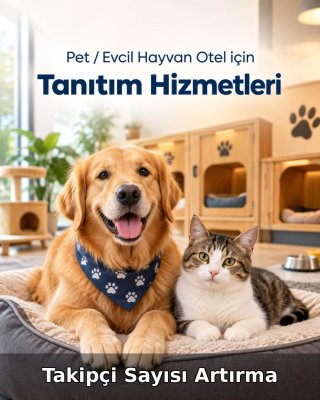 Pet / Evcil Hayvan Otel Takipçi Sayısı Artırma