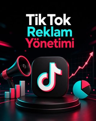 TikTok Reklam Yönetimi