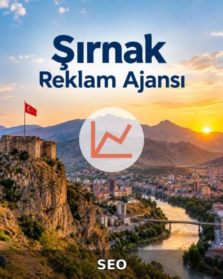 Şırnak SEO Hizmeti